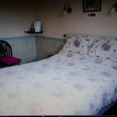 게스트하우스 The Captain